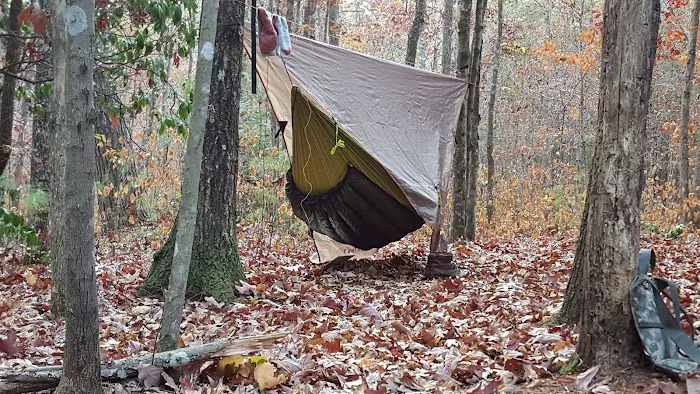 Little Possum North Campsite Picture 6