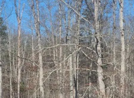 White Oak Ranch TN