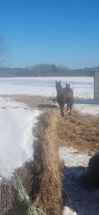 White Oak Ranch TN Picture 5