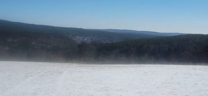 White Oak Ranch TN Picture 4