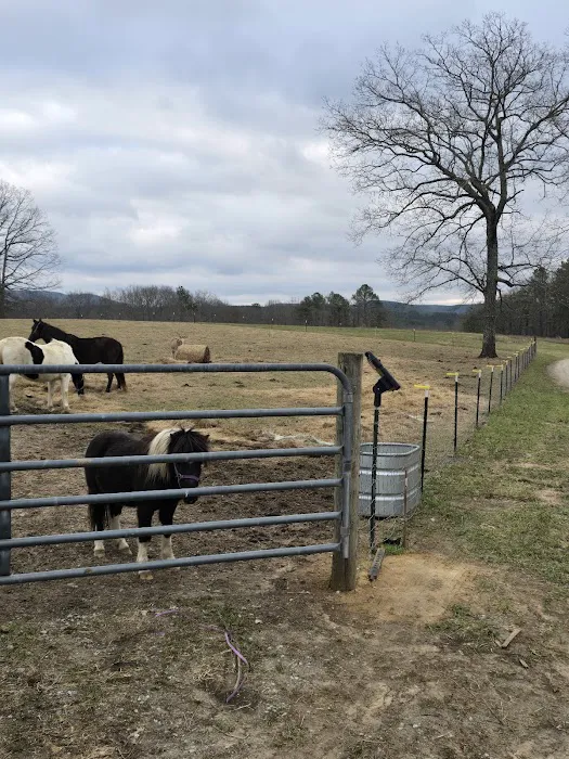 White Oak Ranch TN Picture 6