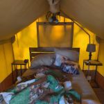 Tellico Plains/Cherokee National Forest KOA