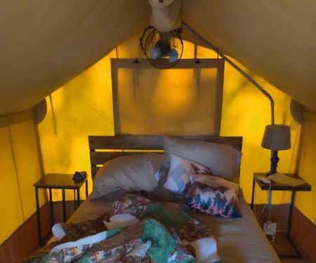 Tellico Plains/Cherokee National Forest KOA