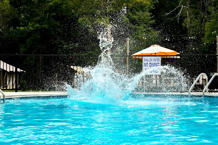 Tellico Plains/Cherokee National Forest KOA Picture 9