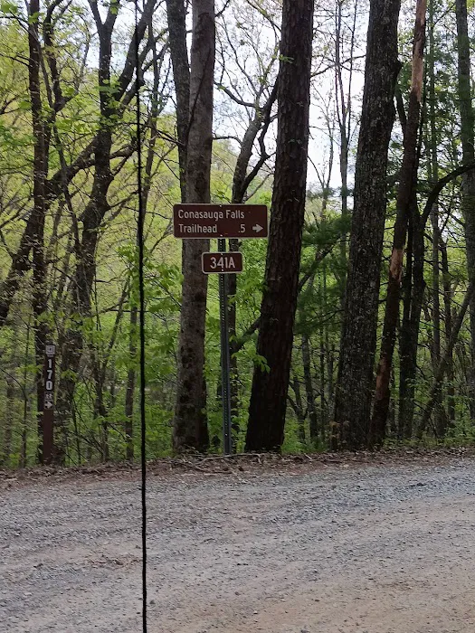 Dispersed riverside camp spot Picture 1