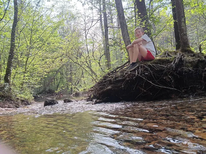 Dispersed riverside camp spot Picture 4