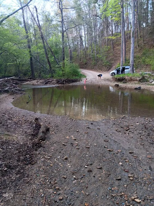 Dispersed riverside camp spot Picture 3