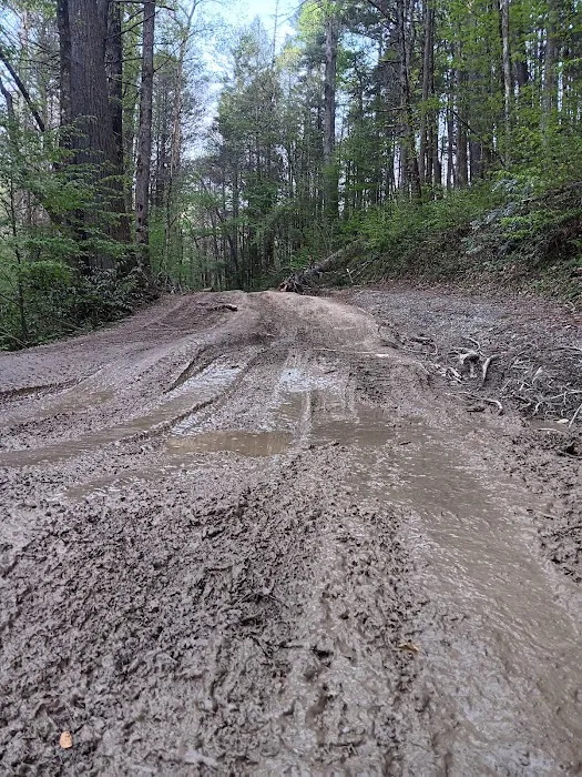 Dispersed riverside camp spot Picture 10