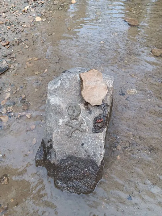 Dispersed riverside camp spot Picture 9