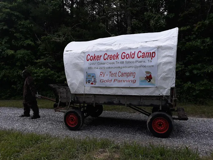 Coker Creek Gold Camp (Site of Diggers Expedition) Picture 2