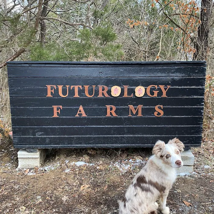 Futurology Farms Picture 4