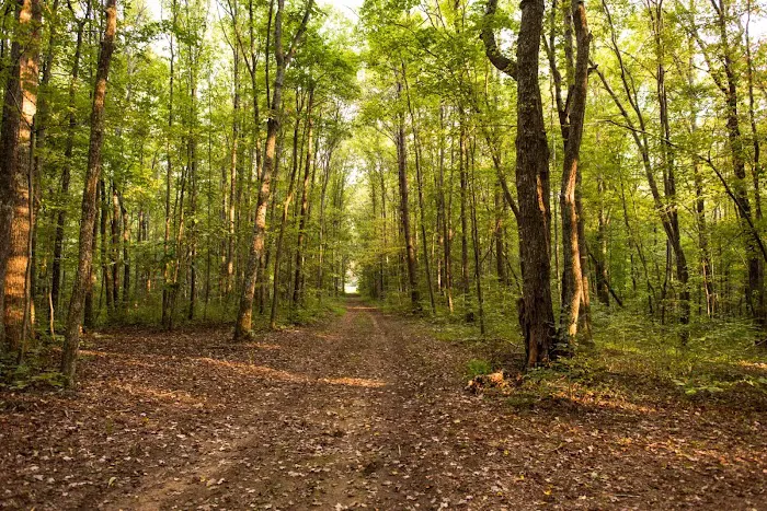 Belle and Beau Acres Picture 9