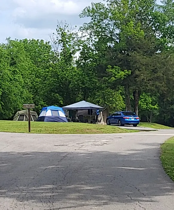 Salt Lick Creek Campground Picture 4