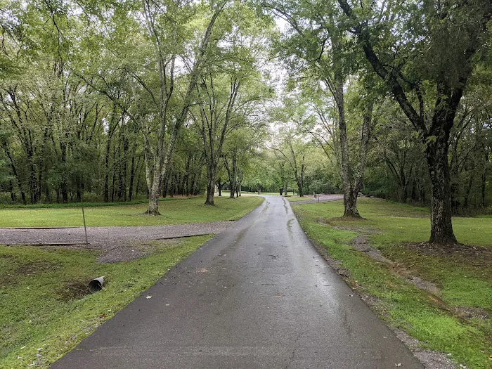 Salt Lick Creek Campground Picture 8