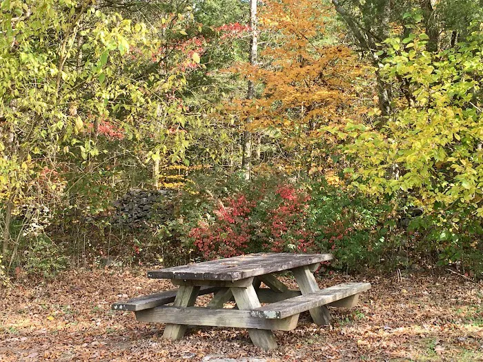 Indian Creek Campground, Nature at its Best! Picture 9