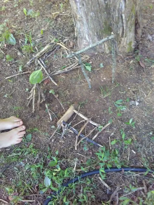 Center Hill Campground Picture 4