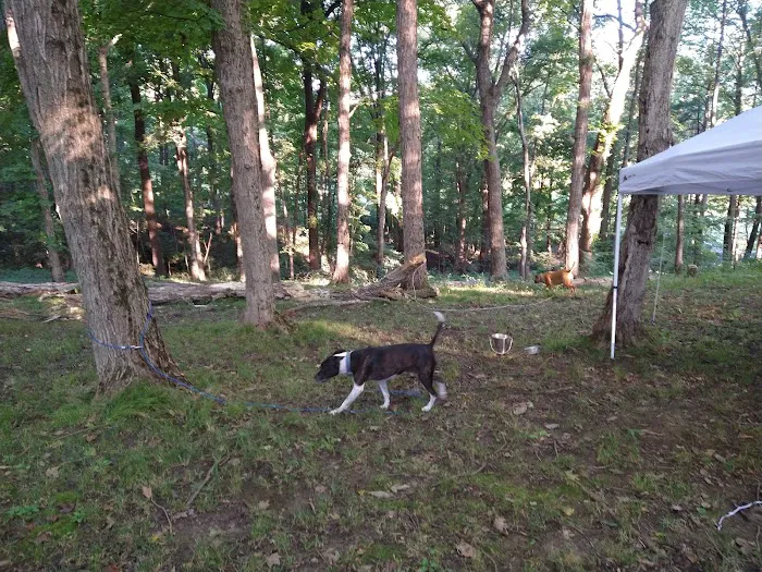 Hilltop Campgrounds Picture 2