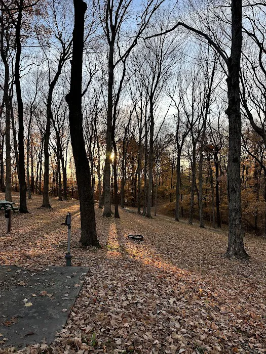 Hilltop Campgrounds Picture 7