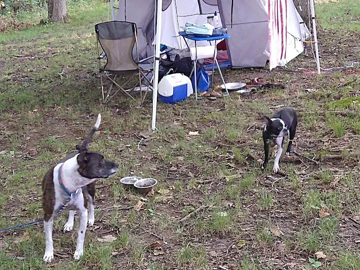Hilltop Campgrounds Picture 6