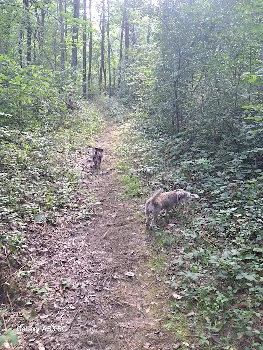 Burrell Woods Bicentennial Park Picture 10