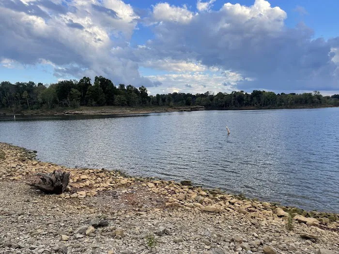 Laurel Branch Campground Picture 3