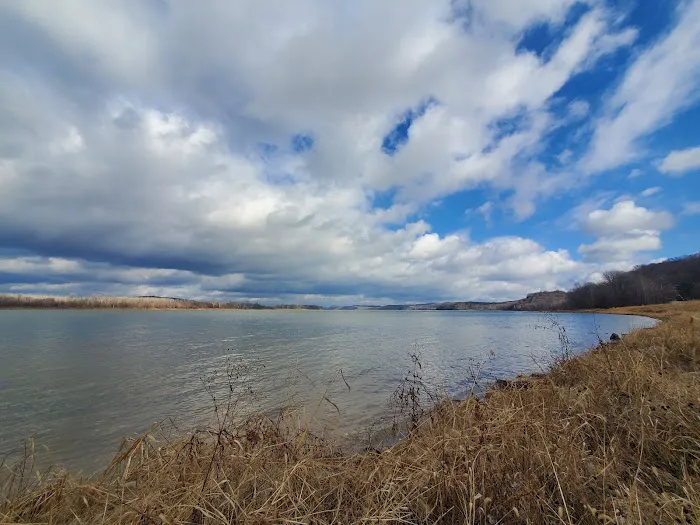Riverview Park Campground Picture 2