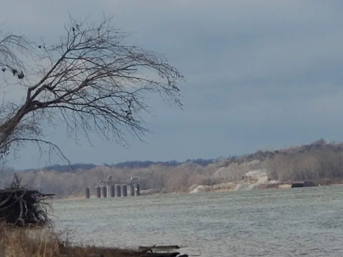 Riverview Park Campground Picture 7