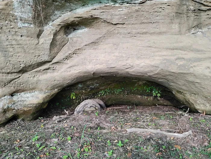 St francisville campground Picture 3
