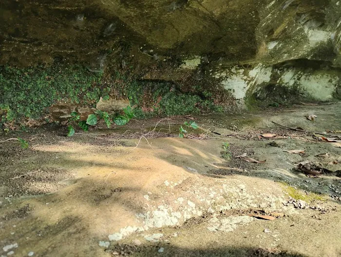 St francisville campground Picture 6