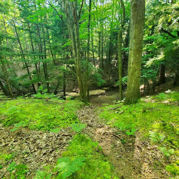 Lake Michigan Recreation Area Picture 6