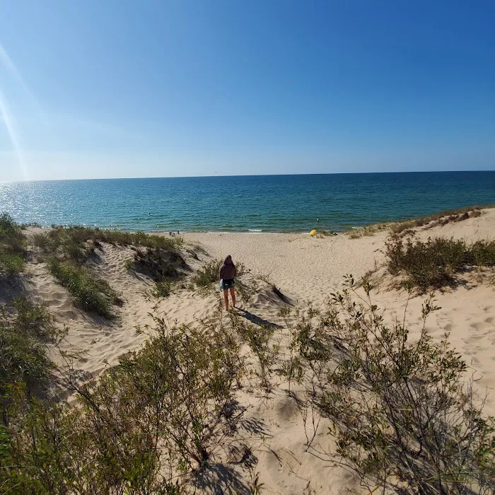 Lake Michigan Recreation Area Picture 4