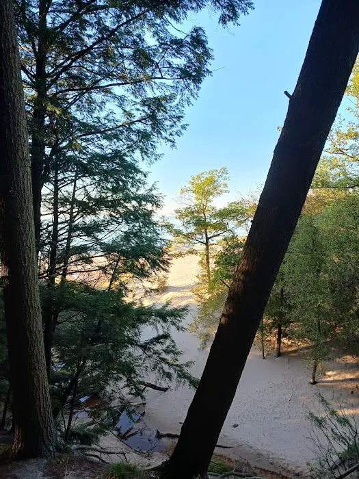 Lake Michigan Recreation Area Picture 8