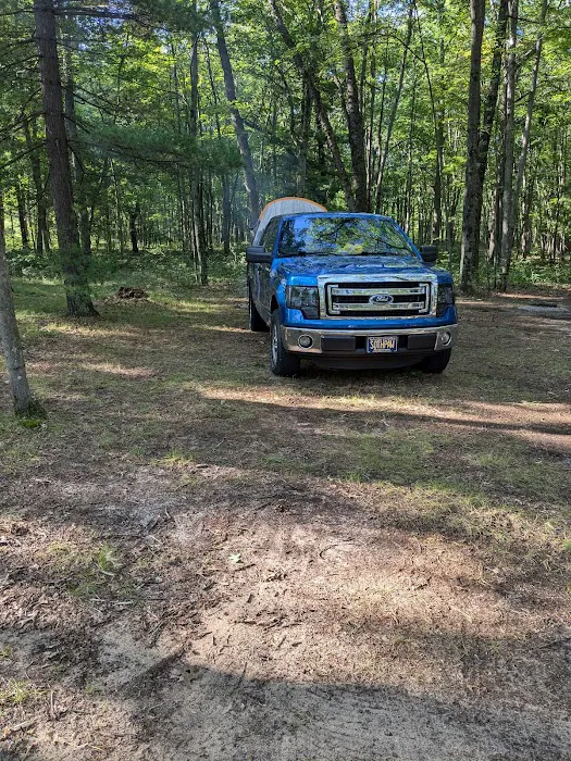 Linde's Rustic Campground Picture 5