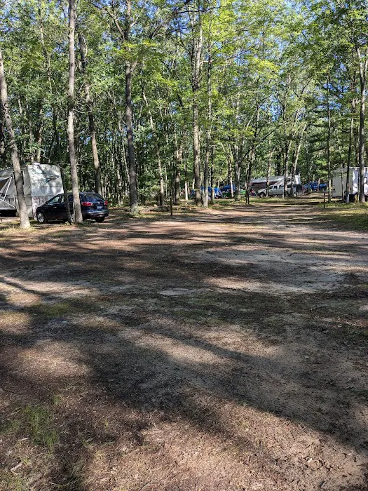 Linde's Rustic Campground Picture 8