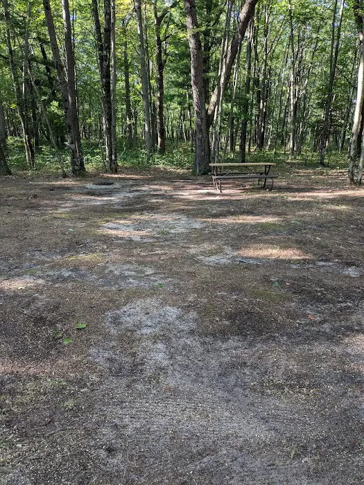 Linde's Rustic Campground Picture 10