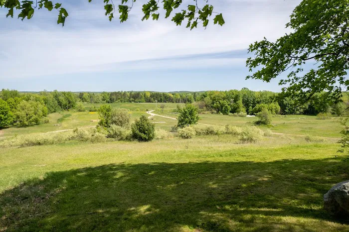 Bear Woods Resort Picture 9