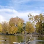 Coho Bend Campground