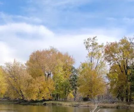 Coho Bend Campground