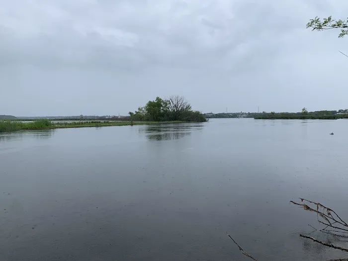 Manistee River RV Resort & Marina Picture 6