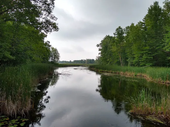 Grass Lake State Forest Campground Picture 2