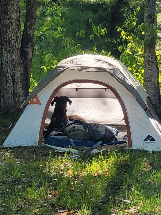 Lake Dubonnet State Forest Campground Picture 1