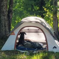 Lake Dubonnet State Forest Campground ico
