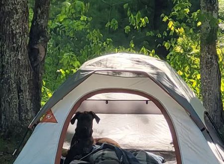 Lake Dubonnet State Forest Campground
