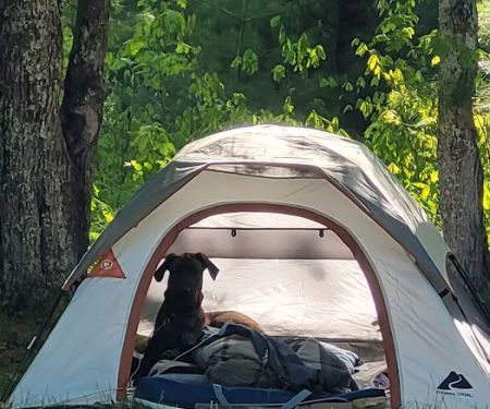 Lake Dubonnet State Forest Campground