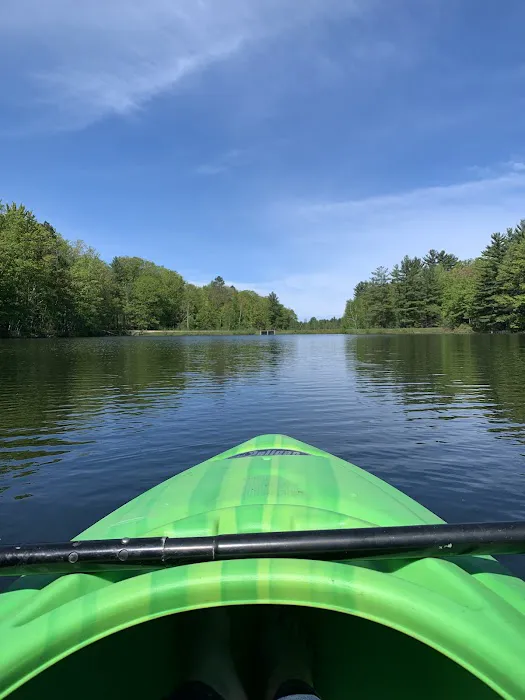Lake Dubonnet State Forest Campground Picture 5