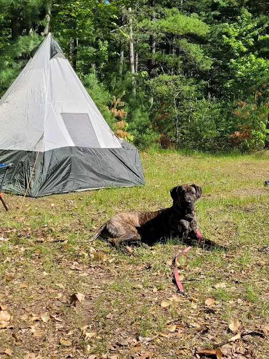 Lake Dubonnet State Forest Campground Picture 6