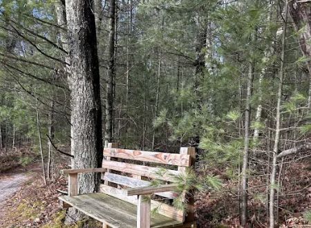 Lake Dubonnet Trail Camp