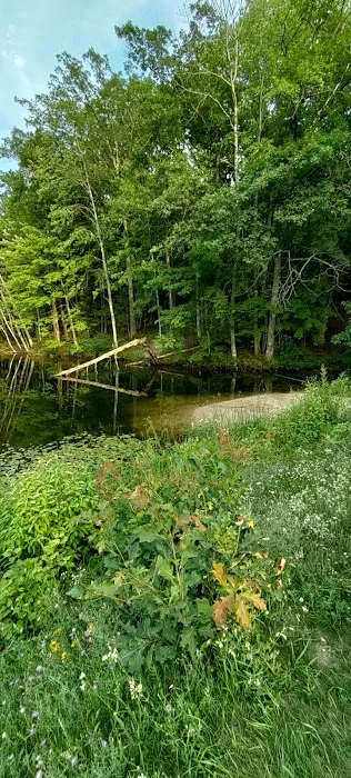 Lake Dubonnet Trail Camp Picture 9