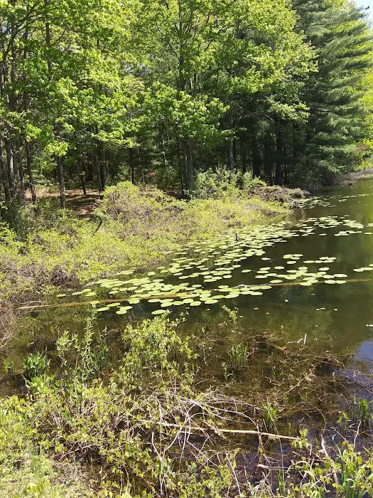 Lake Dubonnet Trail Camp Picture 10