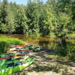 Betsie River Canoes & Campground